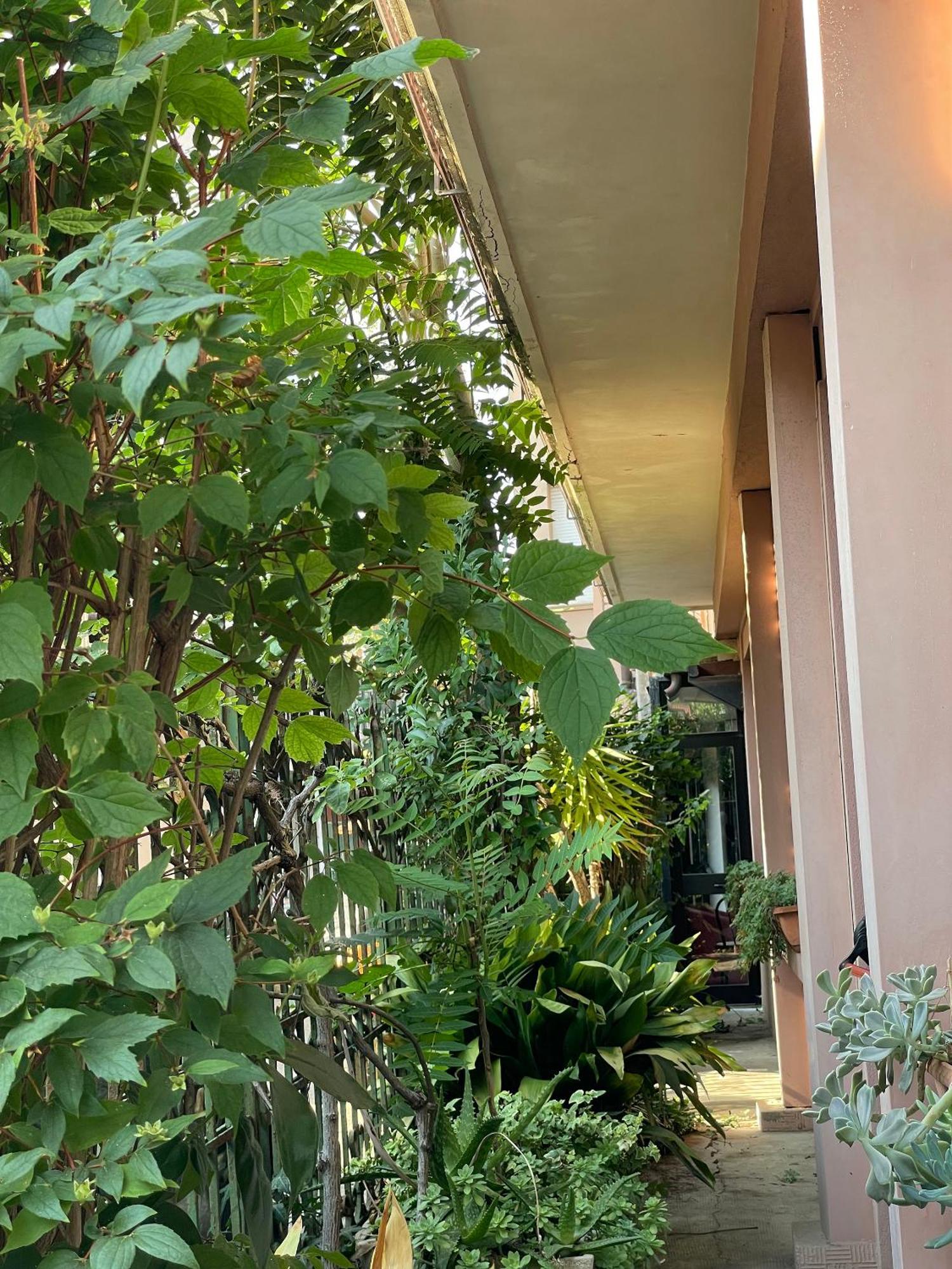 Hotel Berlino กัตตอลิกา ภายนอก รูปภาพ